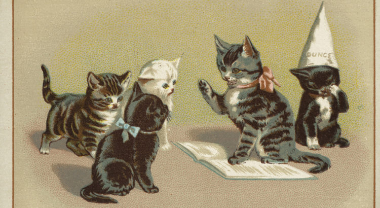 Five cats, one sitting with a dunce cap while one reads from a book to the other three.